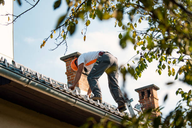 Best Roof Gutter Cleaning  in New Castle, IN
