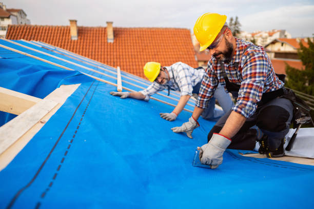 Best Roof Repair Services  in New Castle, IN